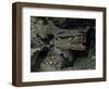 Skulls and Boat Remains, Indonesia-Michael Brown-Framed Photographic Print