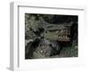 Skulls and Boat Remains, Indonesia-Michael Brown-Framed Photographic Print