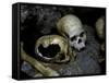 Skulls and Bone, Indonesia-Michael Brown-Framed Stretched Canvas