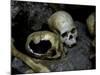 Skulls and Bone, Indonesia-Michael Brown-Mounted Photographic Print