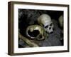 Skulls and Bone, Indonesia-Michael Brown-Framed Photographic Print