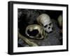 Skulls and Bone, Indonesia-Michael Brown-Framed Photographic Print