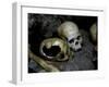 Skulls and Bone, Indonesia-Michael Brown-Framed Photographic Print