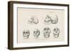 Skulls from Photographs-null-Framed Giclee Print