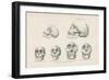 Skulls from Photographs-null-Framed Giclee Print