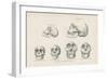 Skulls from Photographs-null-Framed Giclee Print