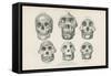 Skulls from Photographs-null-Framed Stretched Canvas