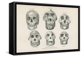 Skulls from Photographs-null-Framed Stretched Canvas