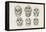 Skulls from Photographs-null-Framed Stretched Canvas