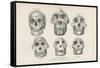 Skulls from Photographs-null-Framed Stretched Canvas
