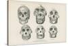 Skulls from Photographs-null-Stretched Canvas