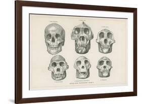 Skulls from Photographs-null-Framed Giclee Print