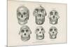 Skulls from Photographs-null-Mounted Giclee Print