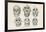 Skulls from Photographs-null-Framed Giclee Print