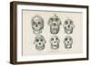 Skulls from Photographs-null-Framed Premium Giclee Print