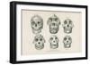 Skulls from Photographs-null-Framed Premium Giclee Print