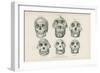 Skulls from Photographs-null-Framed Premium Giclee Print