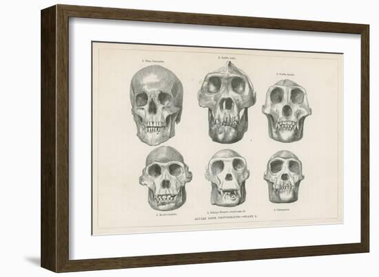 Skulls from Photographs-null-Framed Giclee Print