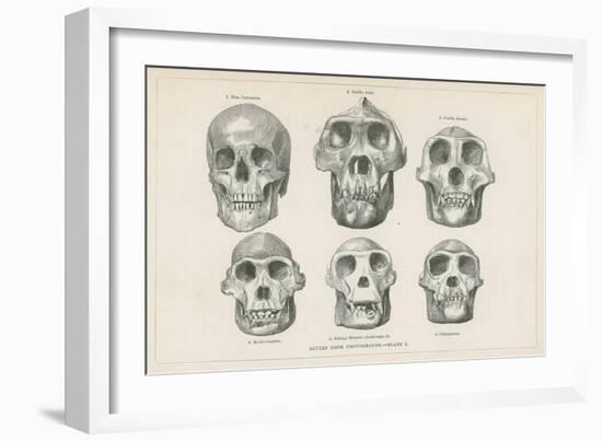 Skulls from Photographs-null-Framed Giclee Print