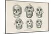 Skulls from Photographs-null-Mounted Giclee Print