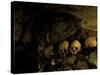 Skulls in Caves, Indonesia-Michael Brown-Stretched Canvas