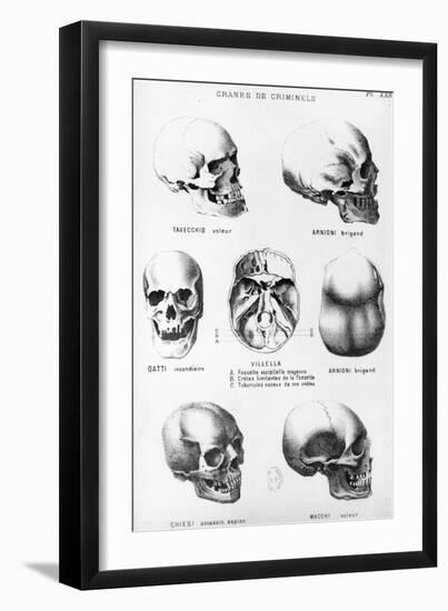 Skulls of Murderers, from L'Homme Criminel by Cesare Lombroso-null-Framed Giclee Print