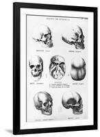 Skulls of Murderers, from L'Homme Criminel by Cesare Lombroso-null-Framed Giclee Print