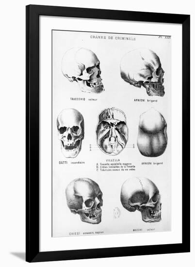 Skulls of Murderers, from L'Homme Criminel by Cesare Lombroso-null-Framed Giclee Print