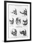 Skulls of Murderers, from L'Homme Criminel by Cesare Lombroso-null-Framed Giclee Print