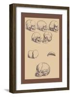 Skulls-Andreas Vesalius-Framed Art Print