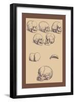 Skulls-Andreas Vesalius-Framed Art Print