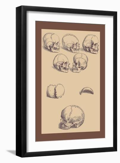 Skulls-Andreas Vesalius-Framed Art Print