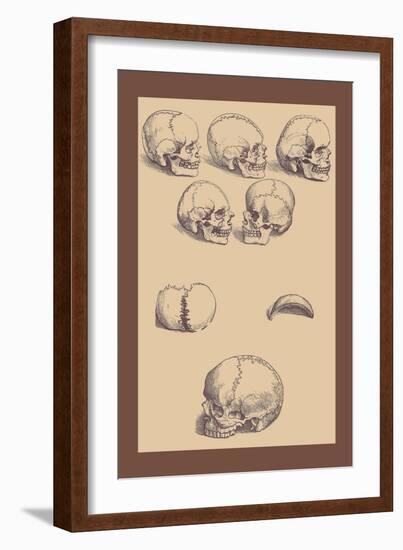 Skulls-Andreas Vesalius-Framed Art Print