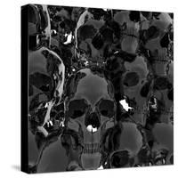 Skulls-3quarks-Stretched Canvas