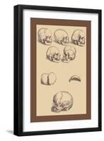 Skulls-Andreas Vesalius-Framed Art Print