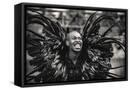 Framed Canvas