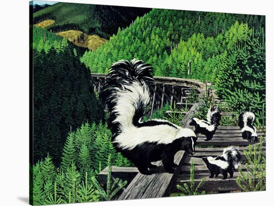 Skunk Family-Fred Ludekens-Stretched Canvas