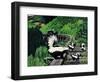 Skunk Family-Fred Ludekens-Framed Giclee Print