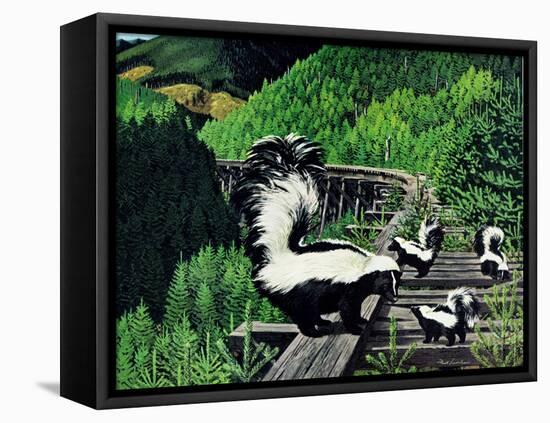 Skunk Family-Fred Ludekens-Framed Stretched Canvas