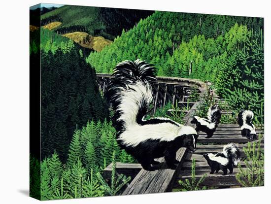 Skunk Family-Fred Ludekens-Stretched Canvas