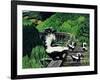 Skunk Family-Fred Ludekens-Framed Premium Giclee Print