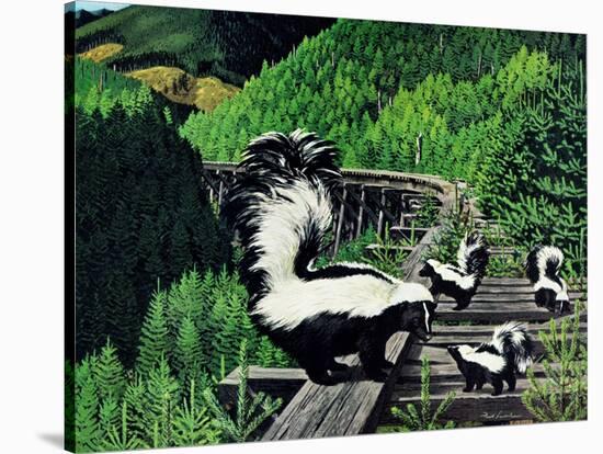 Skunk Family-Fred Ludekens-Stretched Canvas