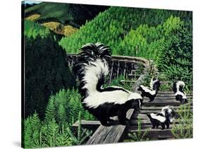 Skunk Family-Fred Ludekens-Stretched Canvas