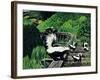 Skunk Family-Fred Ludekens-Framed Giclee Print