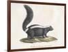 Skunk-null-Framed Giclee Print