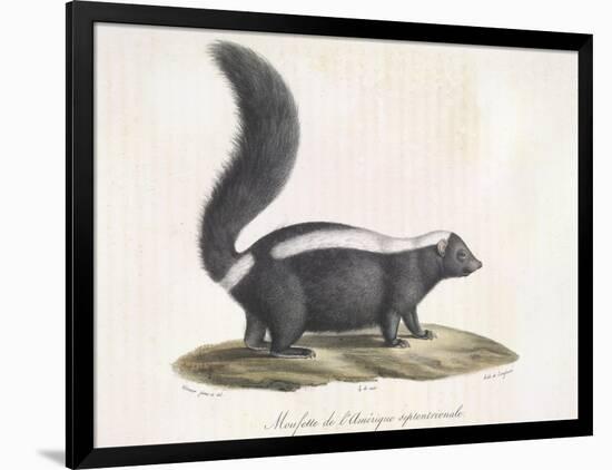 Skunk-null-Framed Giclee Print