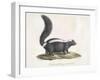 Skunk-null-Framed Giclee Print
