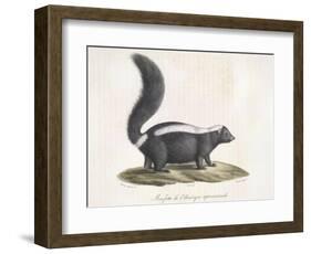 Skunk-null-Framed Giclee Print