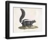 Skunk-null-Framed Giclee Print