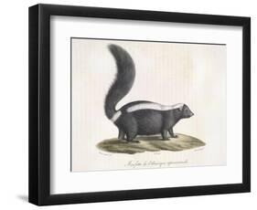 Skunk-null-Framed Giclee Print